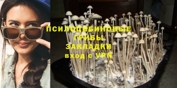 а пвп мука Алзамай